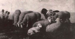 Sheep In A Landscape by Bela Pallik