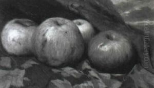 Still Life Of Apples Still Life Of Apples