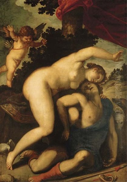 Venus And Adonis - view 1