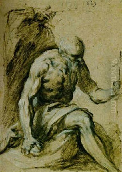 Saint Jerome In The Wilderness - view 1