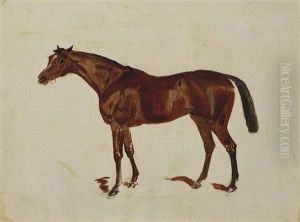 Sketch Of Minoru, A Bay Horse; And Three Sketches Of A Dark Bay Horse; A Bay Horse; A Chestnut Horse by James Lynwood Palmer