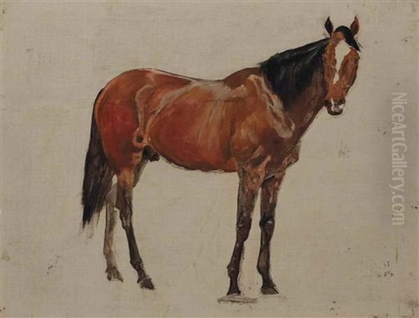 Sketch Of A Dark Bay Horse; And Sketches Of A Bay Horse; A Chestnut Horse; And A Dark Brown Horse - view 1