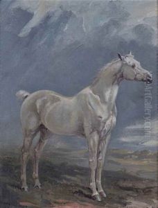 Hunter Gris Dans Un Paysage Hunter Gris Dans Un Paysage
