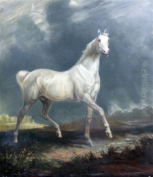 Study Of A White Horse In A Landscape - view 1