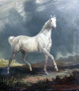 Study Of A White Horse In A Landscape