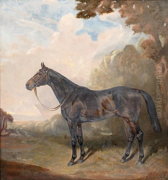 Portrait Of A Hunter - view 1