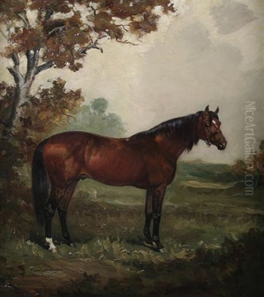 Rightaway At Crompton Verney Stud - view 1