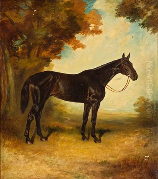 Sir Charles Assheton-smith's "cackler" - view 1