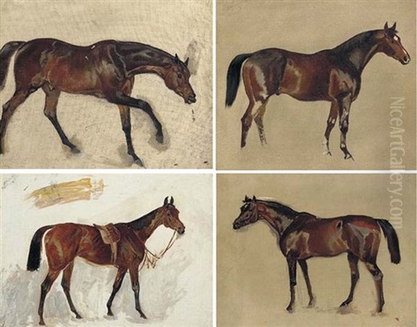 Sketch Of A Saddled Bay (+ 3 Others; 4 Works) - view 1