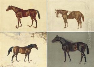 Sketch Of "minoru", A Bay Horse (+ 3 Others; 4 Works)