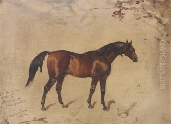 Sketch In The Stable Of "minoru" - view 1