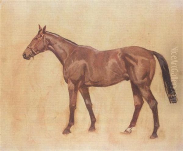 Sketch Of "kellsboro' Jack" - view 1