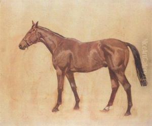 Sketch Of "kellsboro' Jack" by James Lynwood Palmer