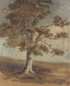 Landscape Study Landscape Study