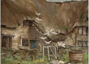 Doves In A Farmyard