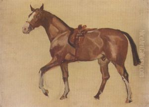 Sketch Of A Horse by James Lynwood Palmer