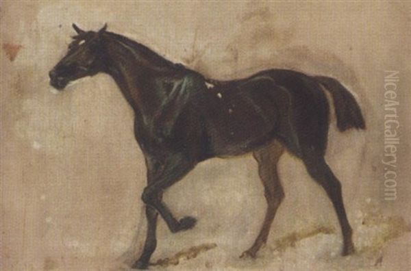Sketch Of A Horse - view 1