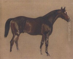 Sketch Of A Horse Sketch Of A Horse