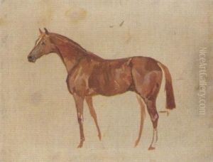 Sketch Of A Horse by James Lynwood Palmer