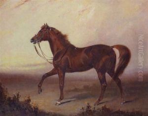 "rajah" - The Property Of Mrs. Edward Gosset "rajah" - The Property Of Mrs. Edward Gosset