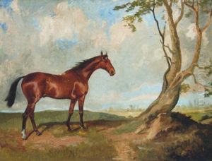 A Bay Hunter Before A Tree In An Extensive Landscape thumbnail