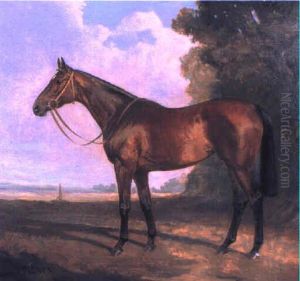The Racehorse Saradella In A Landscape