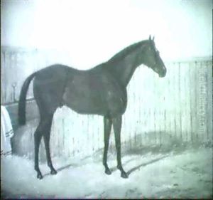 Pferd In Einem Stall by James Lynwood Palmer