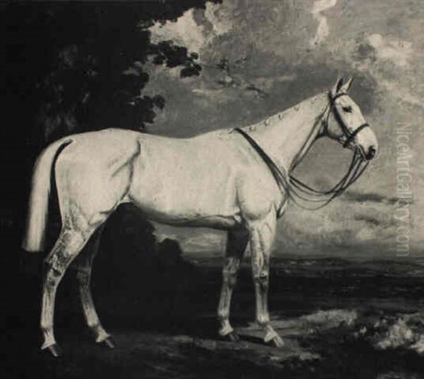 A Grey Hunter In A Landscape - view 1