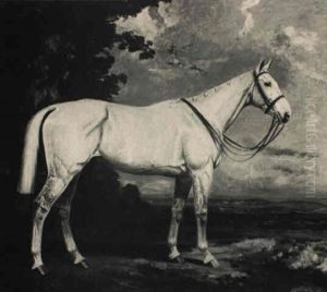 A Grey Hunter In A Landscape A Grey Hunter In A Landscape