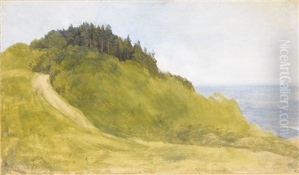 Box Hill, Surrey - view 1