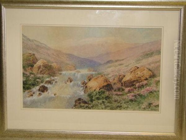 Mountain Stream - view 1