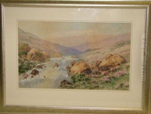 Mountain Stream by Vincent Blatter