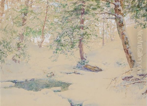 Ravine At Arkville, New York - view 1