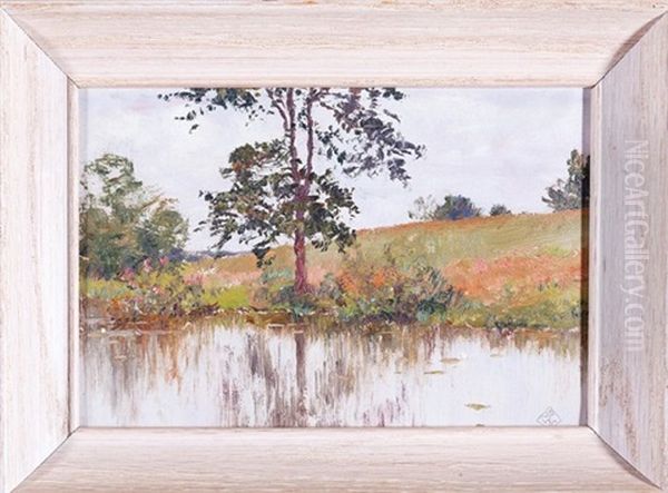 Landscape With Tree Reflected In The Pond - view 1