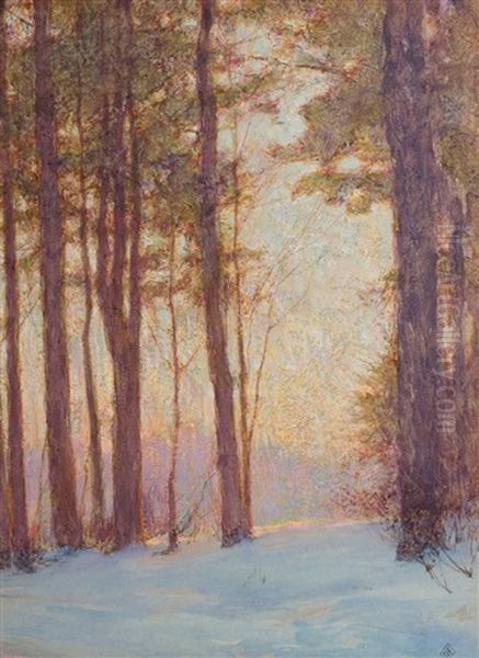Pines At Sunset - view 1