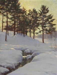 Sun Behind The Pines
