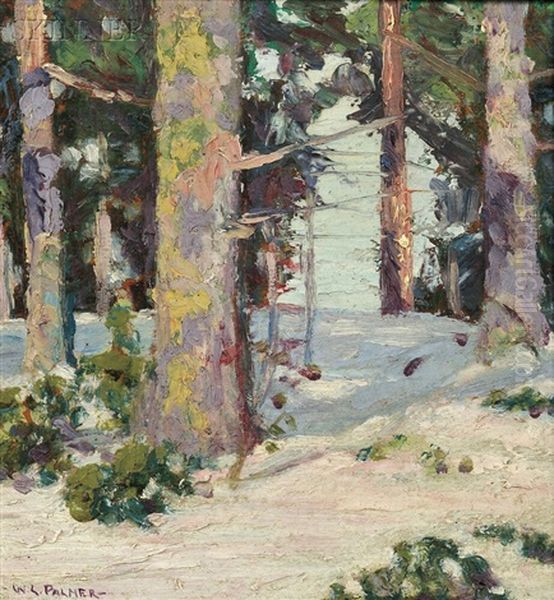 Trees In Winter - view 1