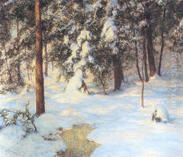 A Small Pond In A Wintry Meadow - view 1