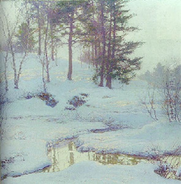 Winter Reflections - view 1