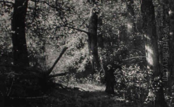 Afternoon Solitude: Young Girl In A Wooded Landscape - view 1