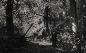 Afternoon Solitude: Young Girl In A Wooded Landscape by Walter Launt Palmer