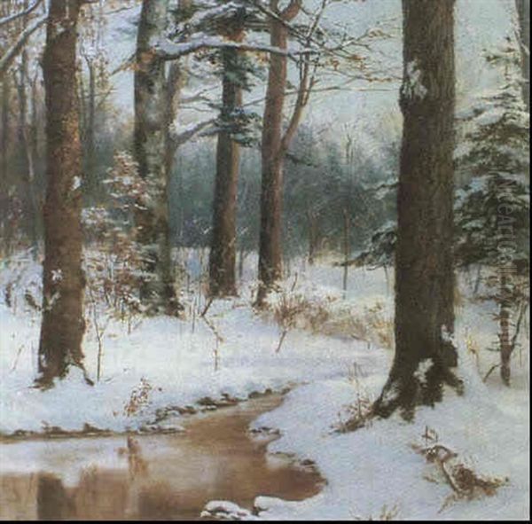 A Brook In Winter - view 1