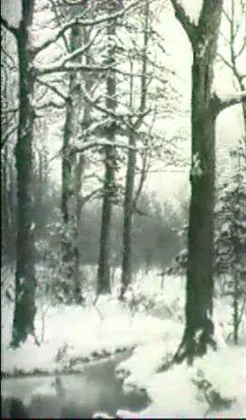 Winter Pond - view 1