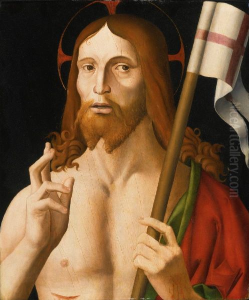 Salvator Mundi - view 1