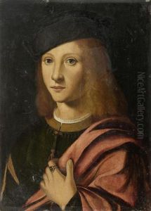 Portrait Eines Junglings by Marco Palmezzano