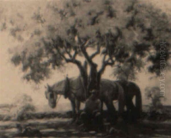 A Rest In The Shade - view 1