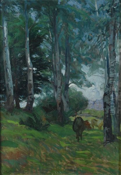 Armenti Nel Bosco - view 1