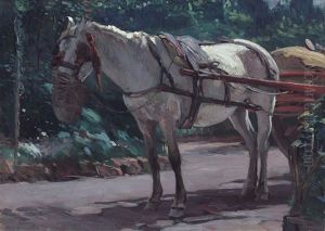 Cavallo Bianco Cavallo Bianco