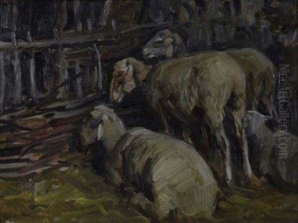 Gregge Nell'ovile - view 1