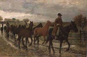 Chevaux Sur Une Route Chevaux Sur Une Route